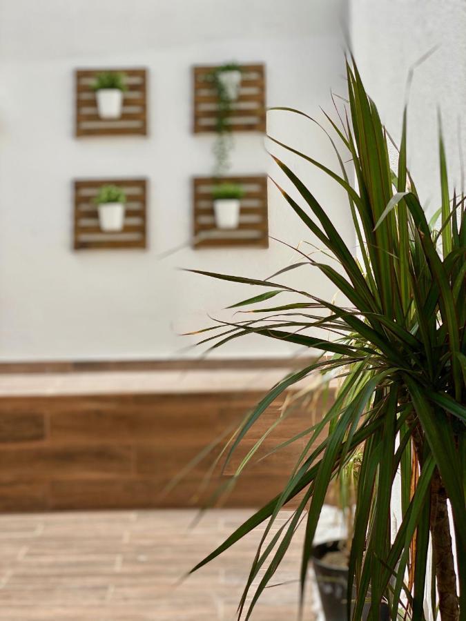 White Sand Apartments Downtown Албуфейра Екстериор снимка